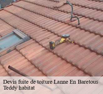 Devis fuite de toiture