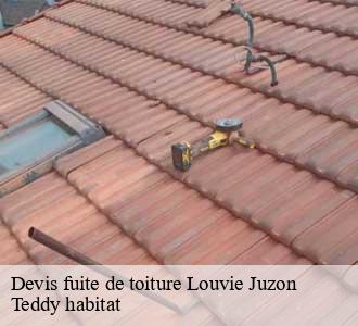 Devis fuite de toiture
