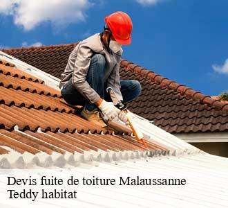 Devis fuite de toiture