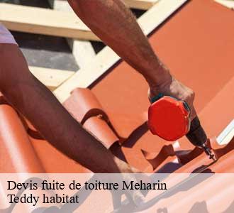 Devis fuite de toiture