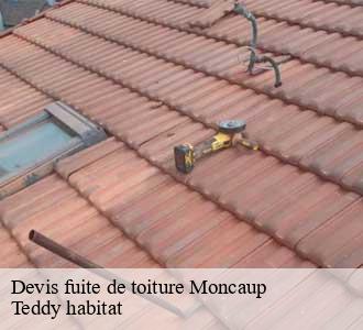 Devis fuite de toiture