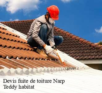 Devis fuite de toiture