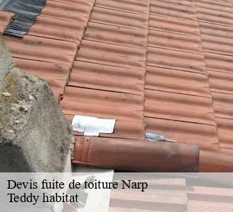 Devis fuite de toiture