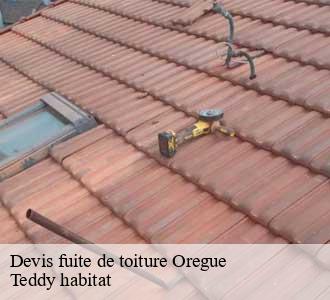 Devis fuite de toiture