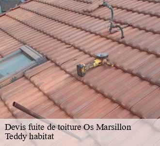 Devis fuite de toiture