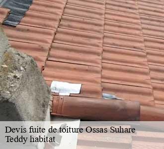Devis fuite de toiture