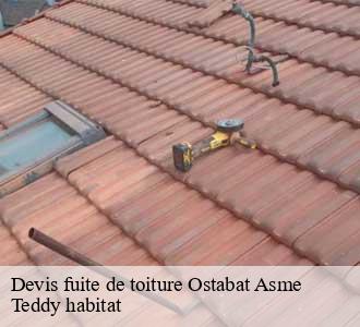 Devis fuite de toiture