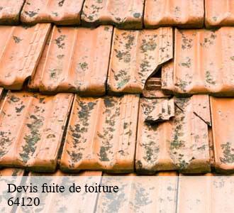 Devis fuite de toiture
