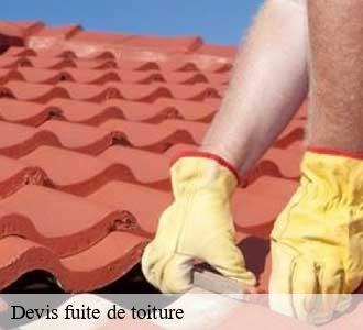 Devis fuite de toiture