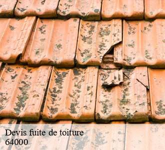 Devis fuite de toiture