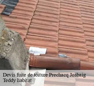 Devis fuite de toiture