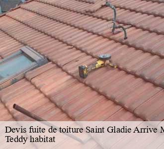 Devis fuite de toiture