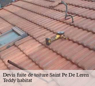 Devis fuite de toiture