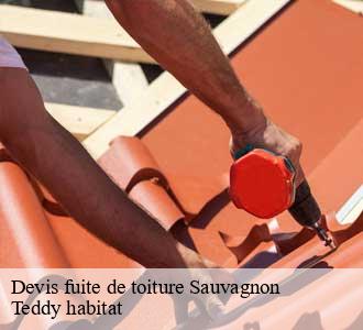 Devis fuite de toiture