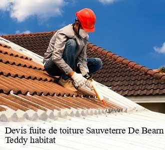 Devis fuite de toiture