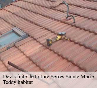 Devis fuite de toiture