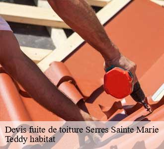 Devis fuite de toiture