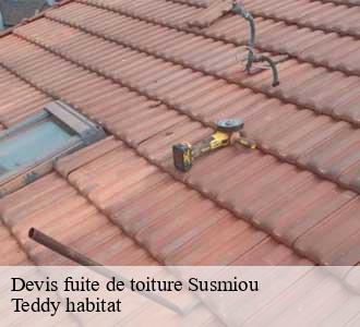 Devis fuite de toiture