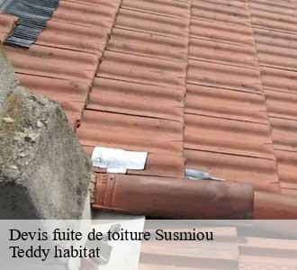 Devis fuite de toiture