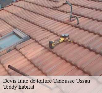 Devis fuite de toiture