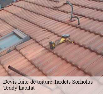 Devis fuite de toiture