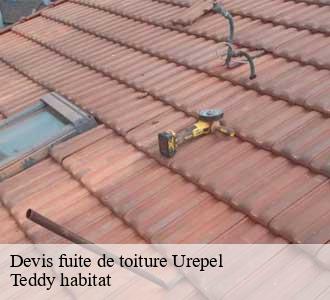 Devis fuite de toiture
