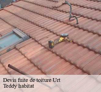 Devis fuite de toiture