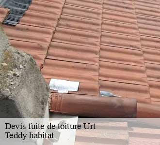 Devis fuite de toiture