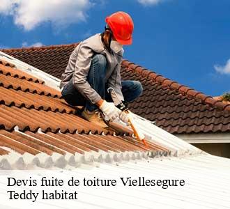 Devis fuite de toiture
