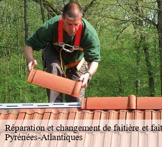 Réparation et changement de faitière et faitage