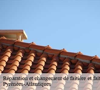 Réparation et changement de faitière et faitage