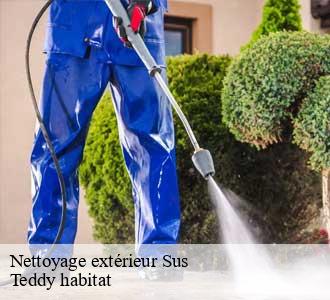 Nettoyage extérieur