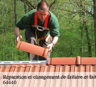 Réparation et changement de faitière et faitage
