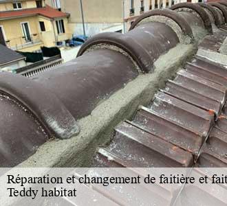 Réparation et changement de faitière et faitage