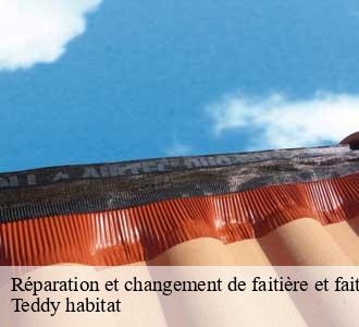 Réparation et changement de faitière et faitage
