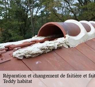 Réparation et changement de faitière et faitage