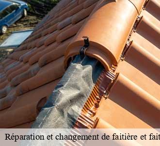 Réparation et changement de faitière et faitage