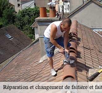 Réparation et changement de faitière et faitage