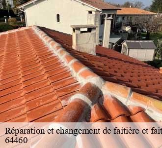 Réparation et changement de faitière et faitage