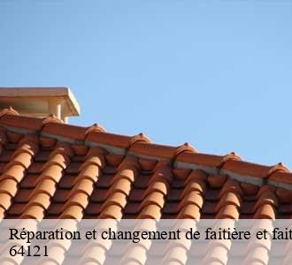 Réparation et changement de faitière et faitage