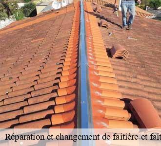 Réparation et changement de faitière et faitage