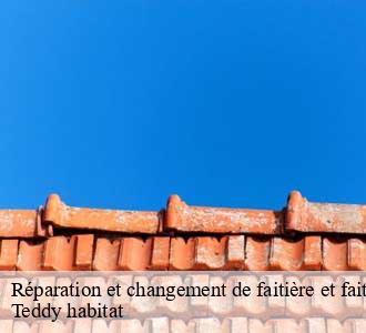 Réparation et changement de faitière et faitage