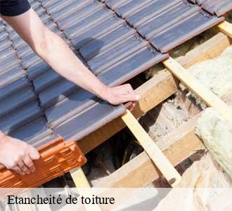 Etancheité de toiture
