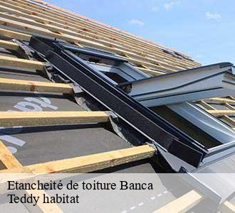Etancheité de toiture