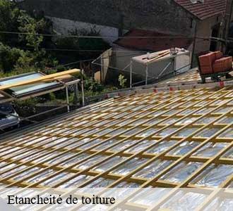 Etancheité de toiture