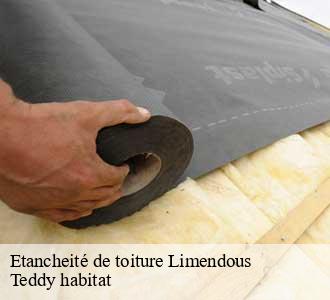 Etancheité de toiture