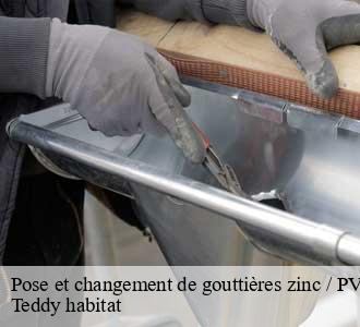 Pose et changement de gouttières zinc / PVC / Alu 