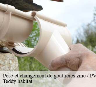 Pose et changement de gouttières zinc / PVC / Alu 