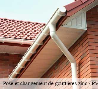 Pose et changement de gouttières zinc / PVC / Alu 