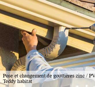 Pose et changement de gouttières zinc / PVC / Alu 